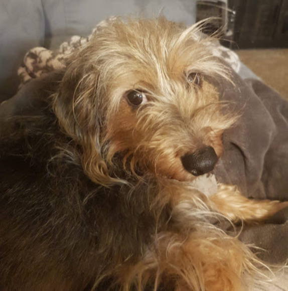 Meet your Posher, Jessica - Picture 1 of 1